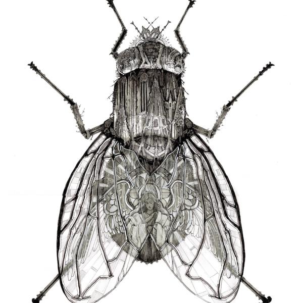 Anniella Pettengill. Flee, 2025. Ink and marker on paper.
