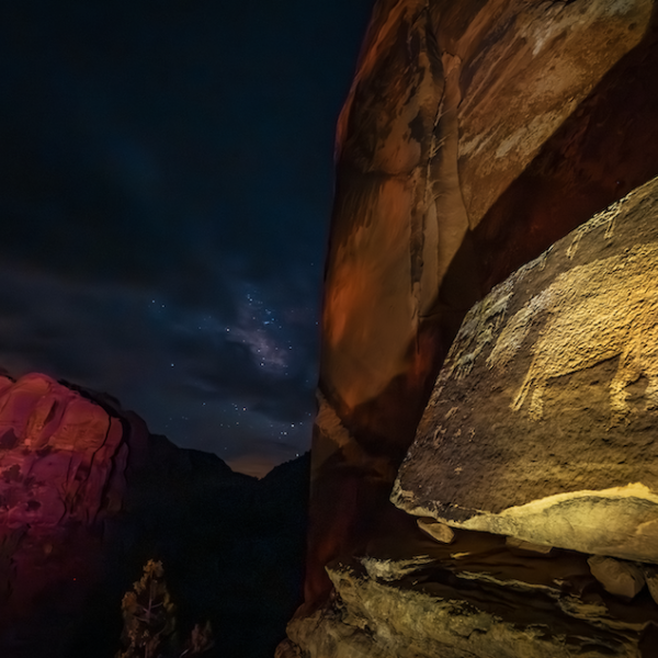 Mark DiOrio. Bear, Shay Canyon, Utah, 2024. Digital Print.